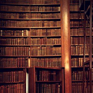 Meet your Posher, Dami